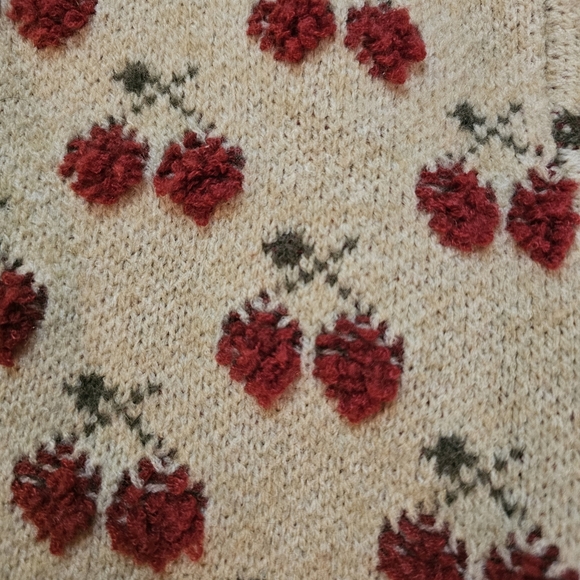Cider Cream and Red Knit Crop Top - Picture 5 of 11